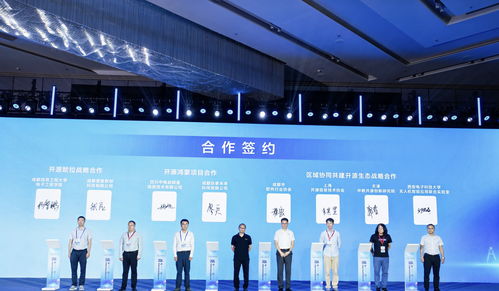 85條供需信息集中發布，成都開源生態建設大會引領軟件技術推廣新浪潮