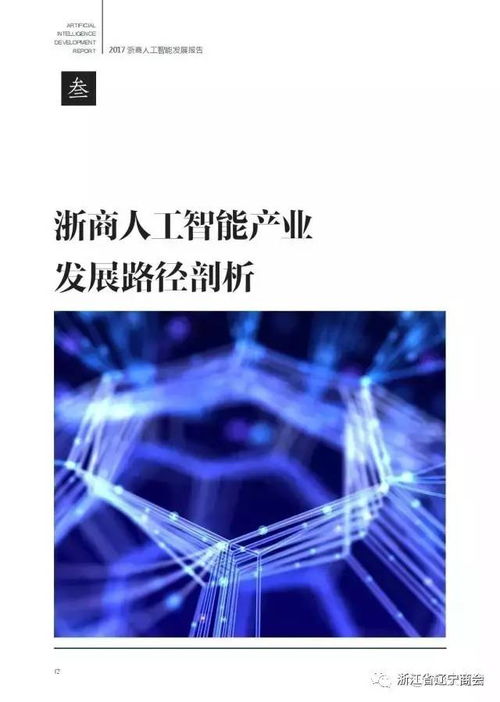 2017浙商人工智能發(fā)展報告 應(yīng)用開發(fā)的新格局與未來展望